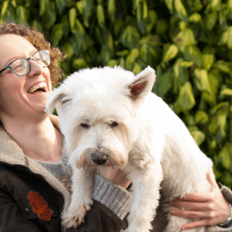 Dog being held