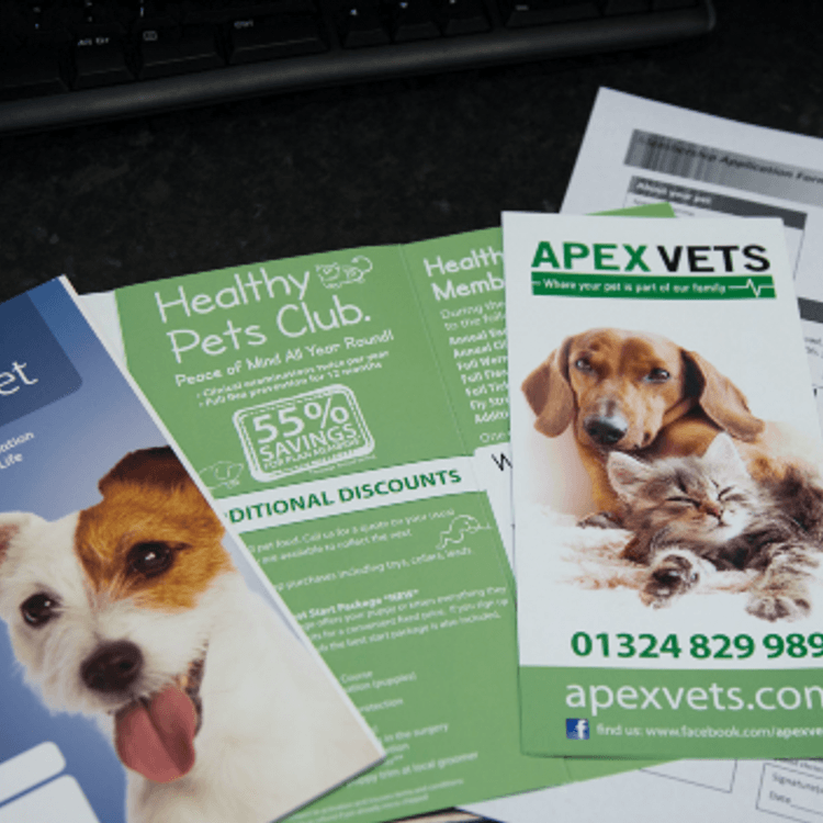 Pet insurance at Apex Vets